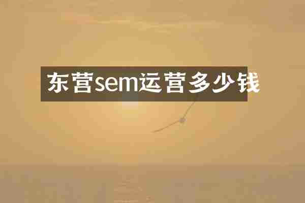 东营sem运营多少钱