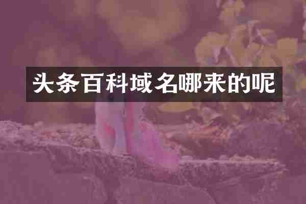 头条百科域名哪来的呢
