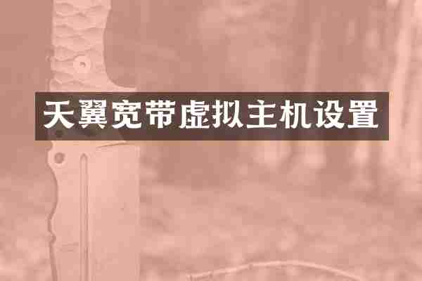 天翼宽带虚拟主机设置