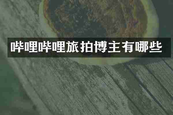 哔哩哔哩旅拍博主有哪些