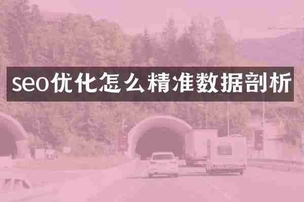 seo优化怎么精准数据剖析