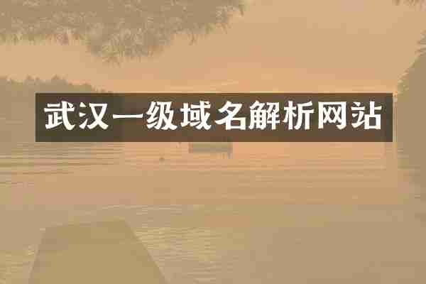 武汉一级域名解析网站