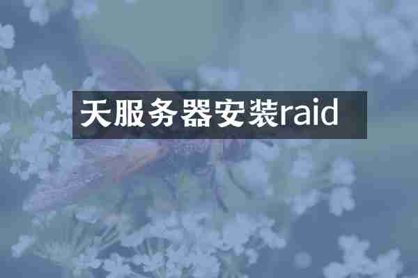 天玥服务器安装raid