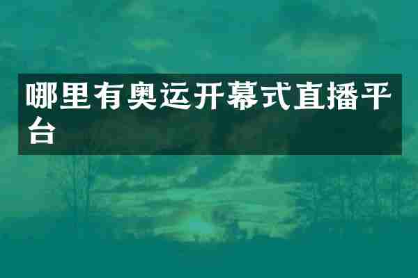 哪里有奥运开幕式直播平台