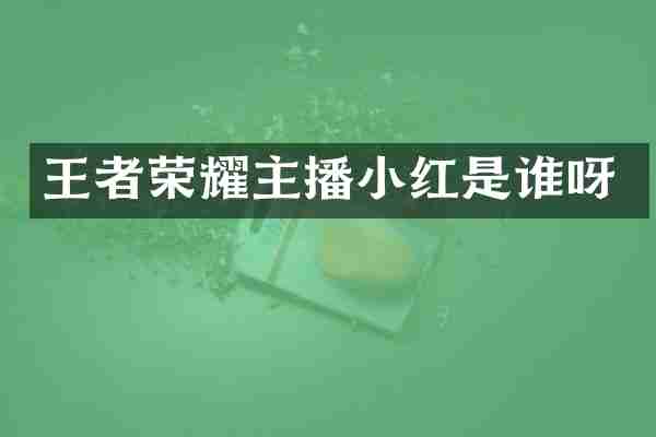 王者荣耀主播小红是谁呀