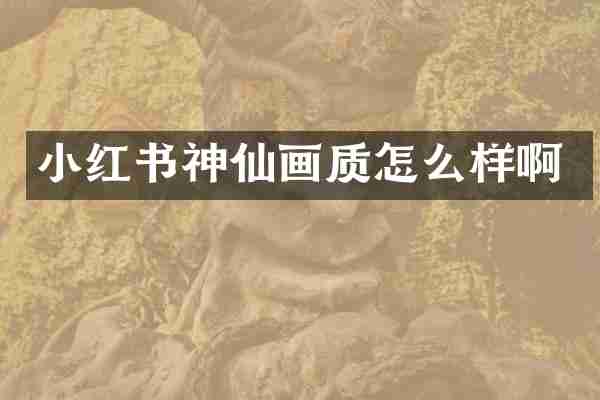 小红书神仙画质怎么样啊