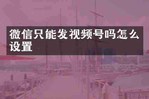 微信只能发视频号吗怎么设置
