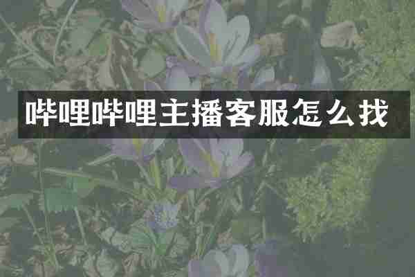 哔哩哔哩主播客服怎么找