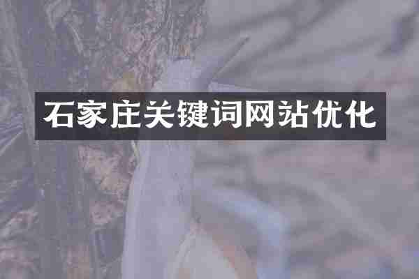 石家庄关键词网站优化