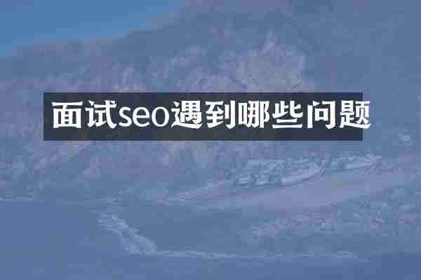 面试seo遇到哪些问题