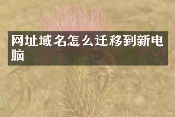 网址域名怎么迁移到新电脑