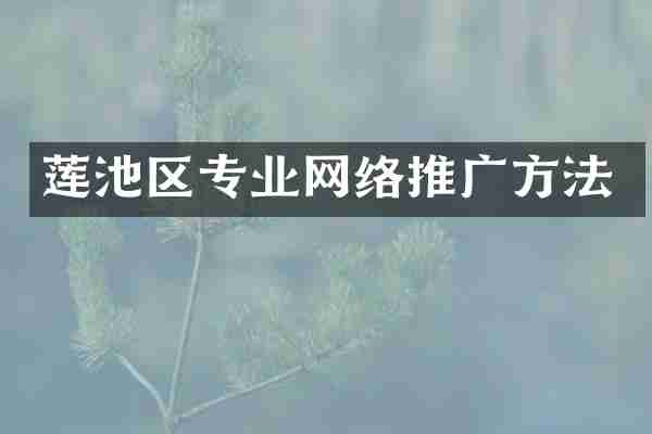 莲池区专业网络推广方法