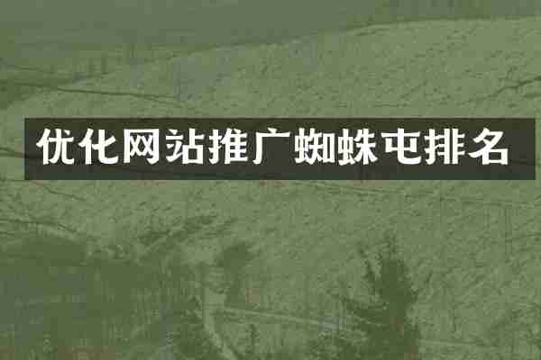 优化网站推广蜘蛛屯排名