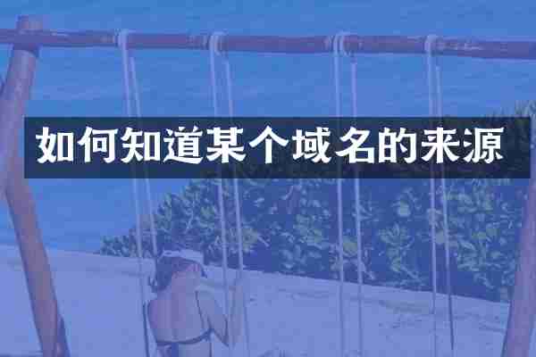 如何知道某个域名的来源