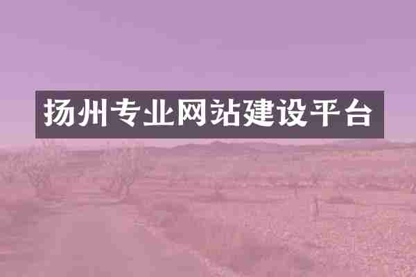 扬州专业网站建设平台