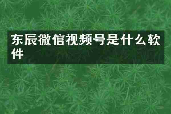 东辰微信视频号是什么软件