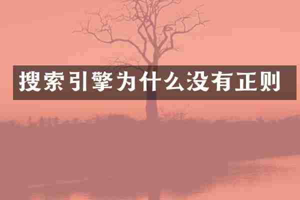 搜索引擎为什么没有正则