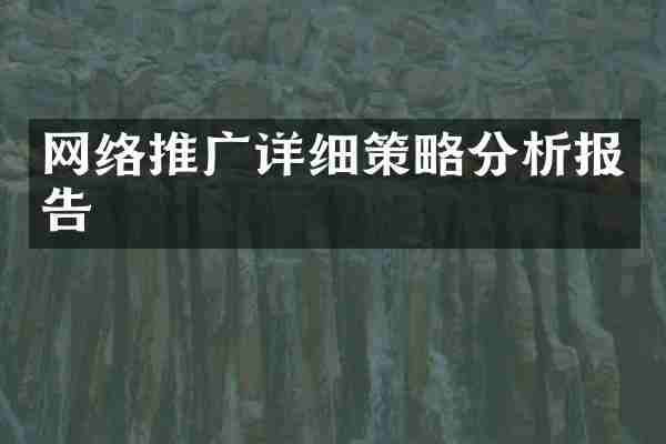网络推广详细策略分析报告