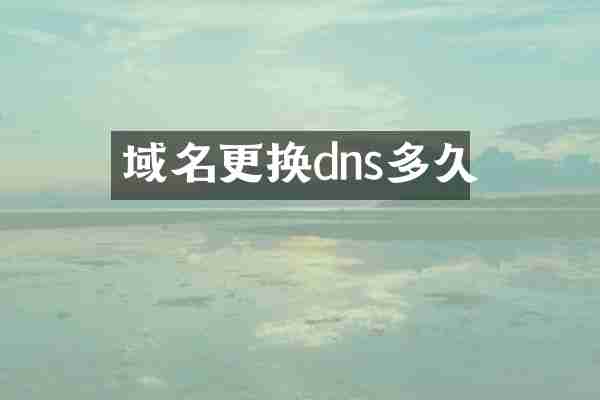 域名更换dns多久