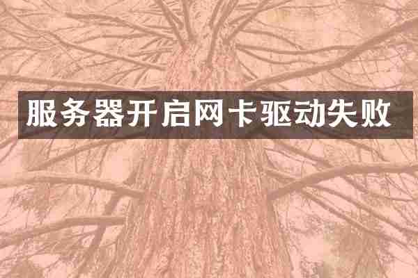 服务器开启网卡驱动失败