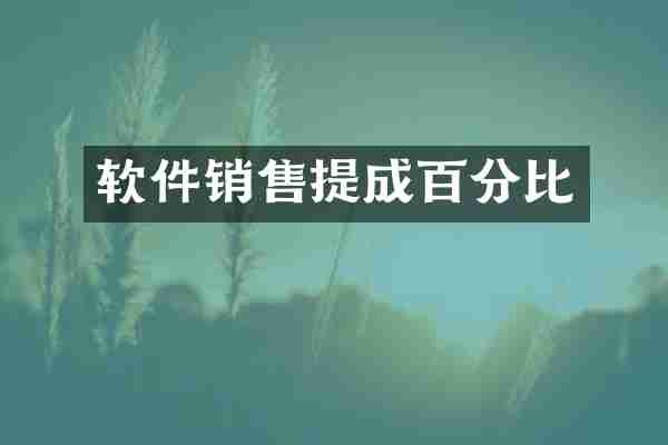 软件销售提成百分比