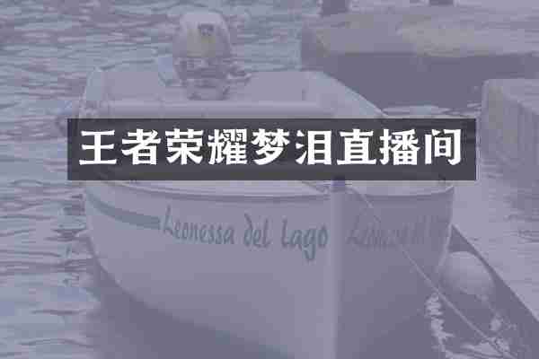 王者荣耀梦泪直播间