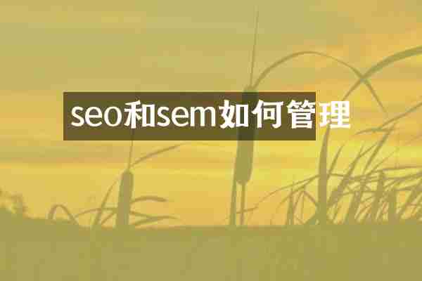 seo和sem如何管理