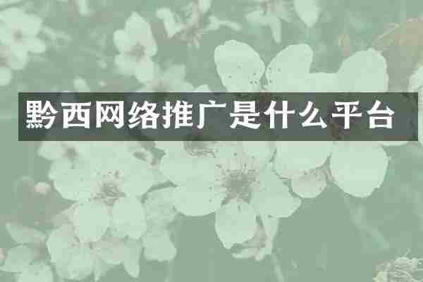 黔西网络推广是什么平台