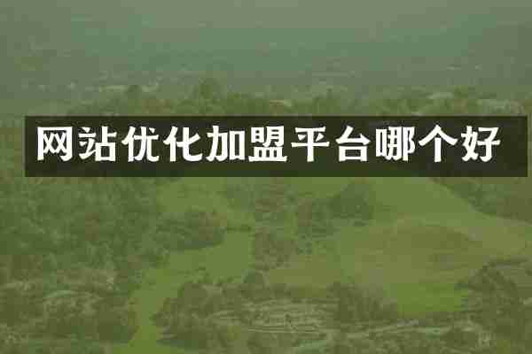 网站优化加盟平台哪个好