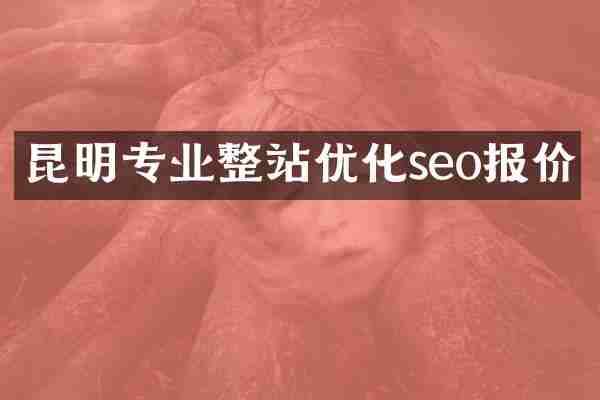 昆明专业整站优化seo报价