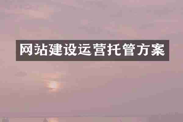 网站建设运营托管方案
