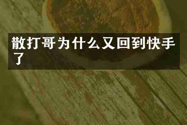 散打哥为什么又回到快手了