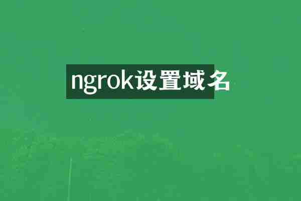 ngrok设置域名