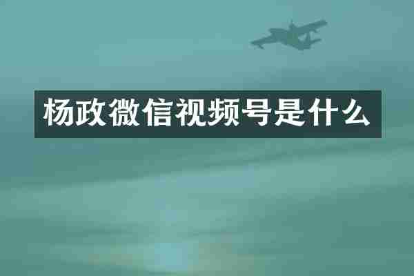 杨政微信视频号是什么