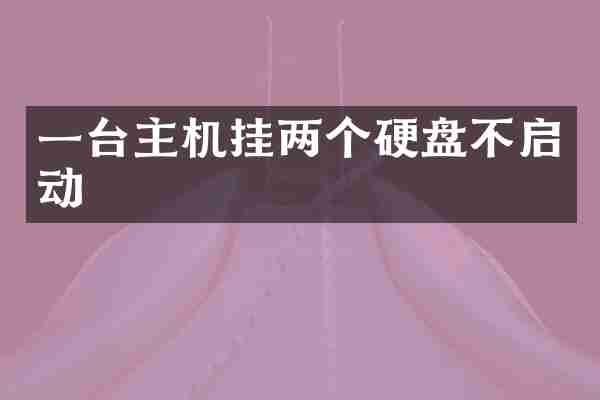 一台主机挂两个硬盘不启动