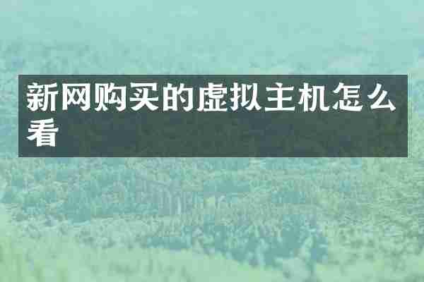 新网购买的虚拟主机怎么看