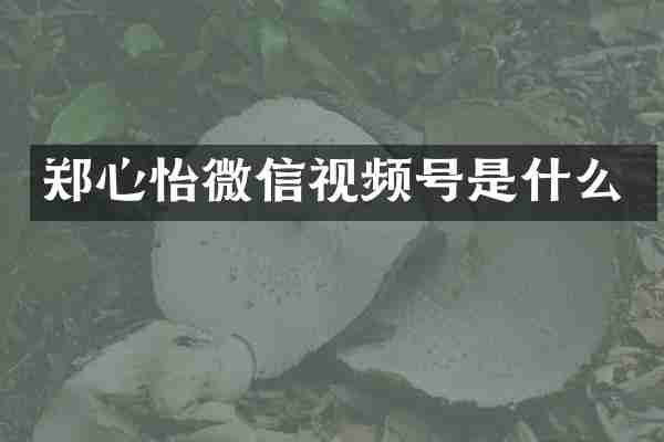 郑心怡微信视频号是什么