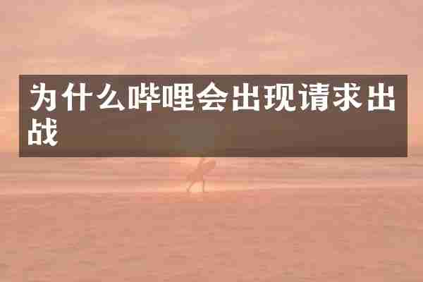 为什么哔哩会出现请求出战
