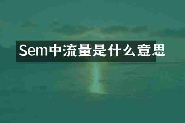 Sem中流量是什么意思