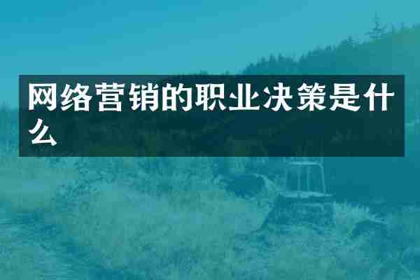 网络营销的职业决策是什么