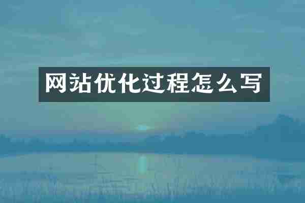 网站优化过程怎么写
