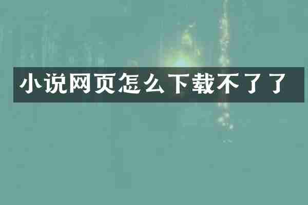 小说网页怎么下载不了了