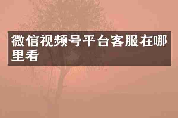 微信视频号平台客服在哪里看