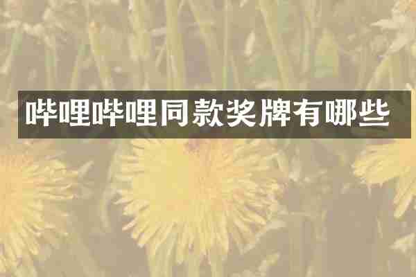 哔哩哔哩同款奖牌有哪些