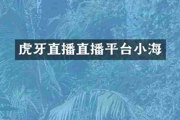 虎牙直播直播平台小海