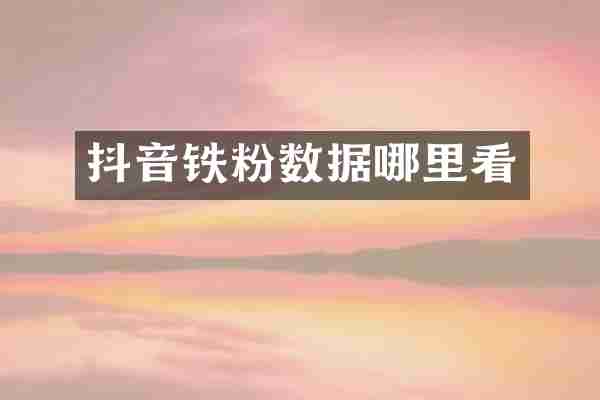 抖音铁粉数据哪里看