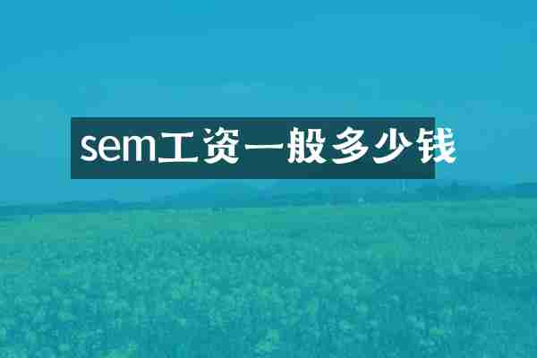 sem工资一般多少钱