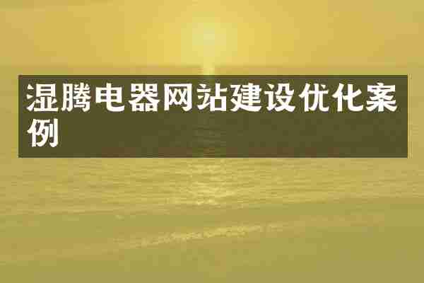 湿腾电器网站建设优化案例