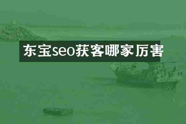 东宝seo获客哪家厉害