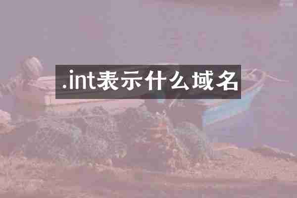 .int表示什么域名